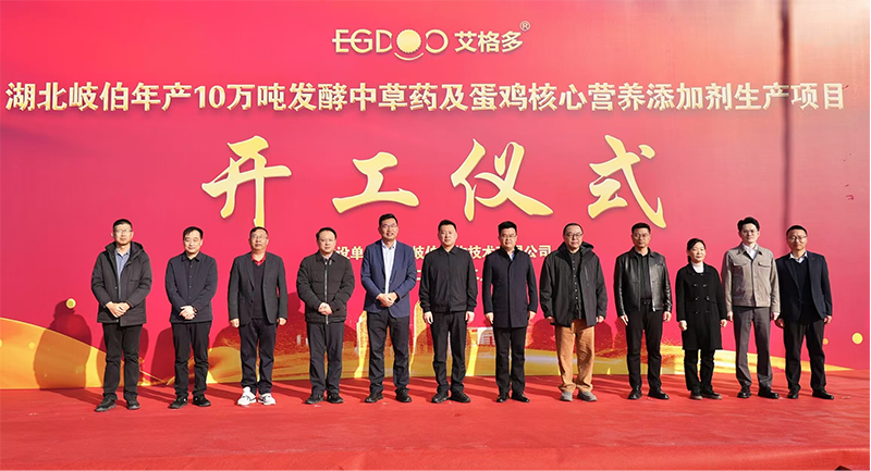 全國布局、賦能南方蛋雞產(chǎn)業(yè)高質量發(fā)展——艾格多集團湖北荊州基地項目正式開工